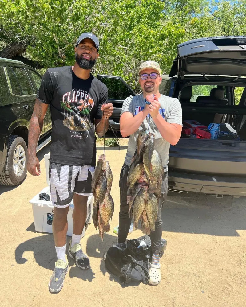 出色的组织 出色的组织